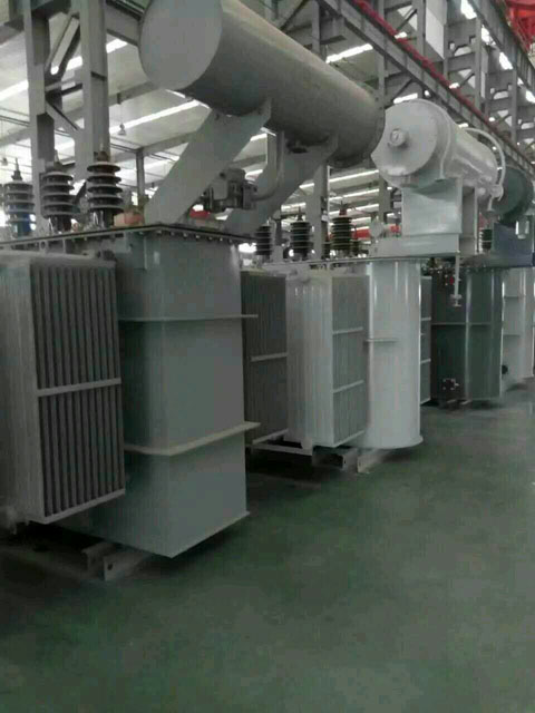 南皮S11-6300KVA油浸式变压器